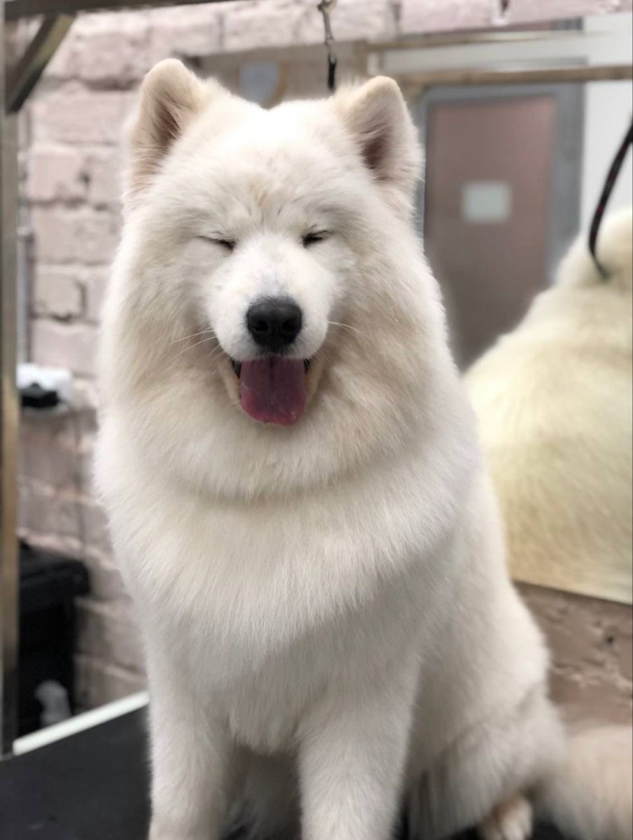 Що таке «косметика для експрес линьки»